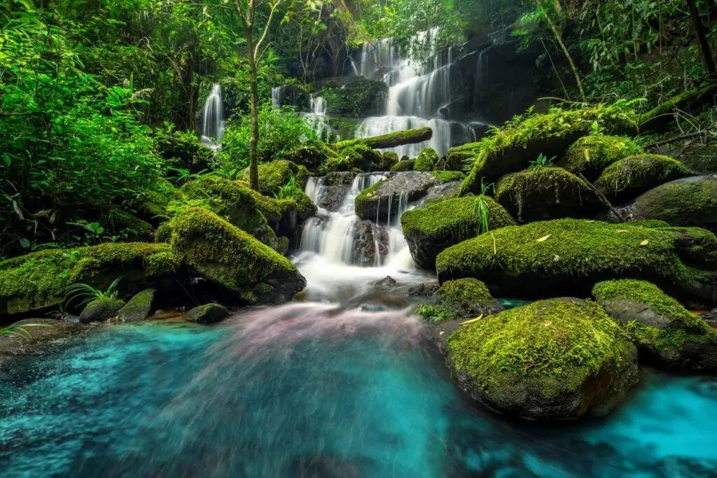 A beautiful view of a waterfall located in deep forest